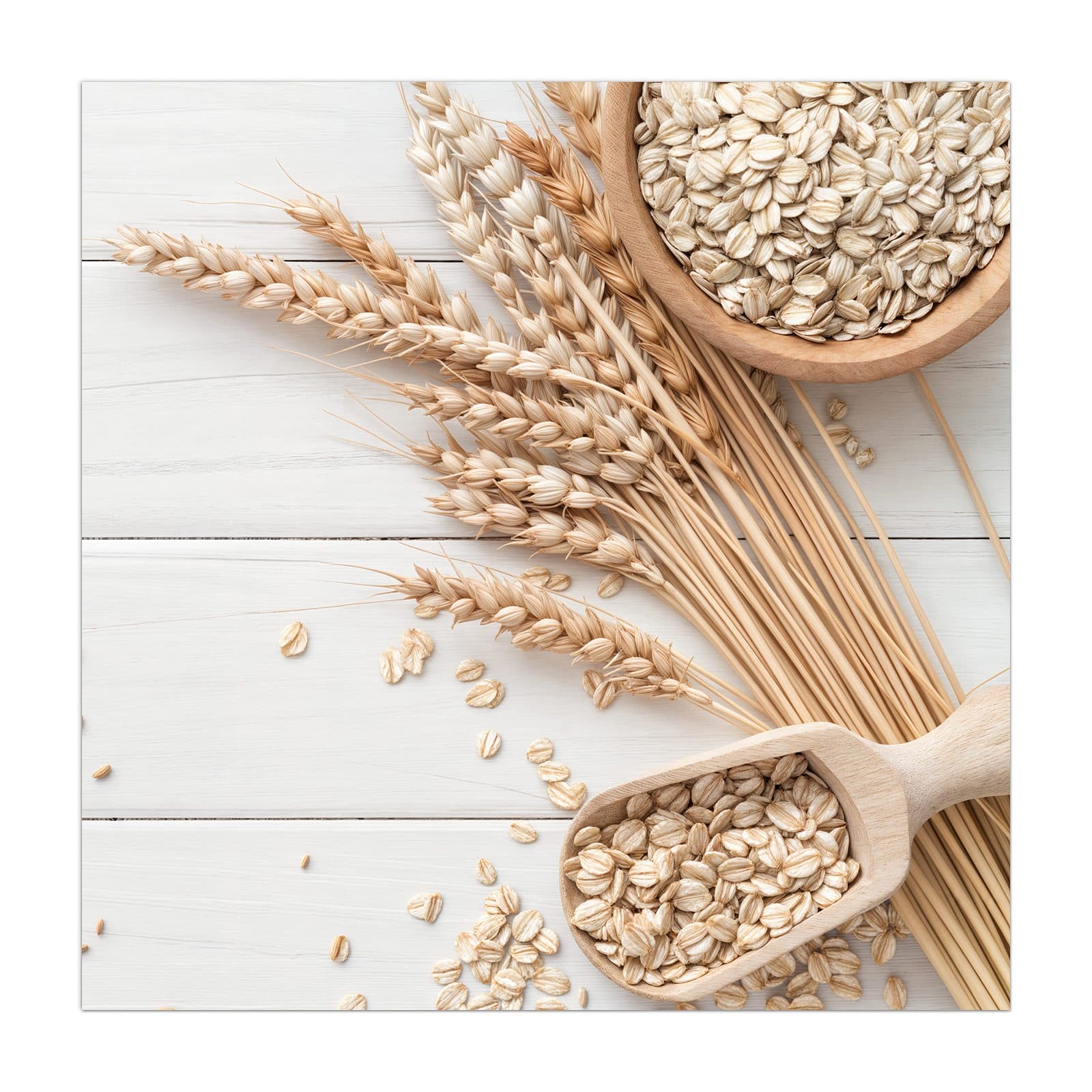 #grösse_40 x 40 cm #grösse_50 x 50 cm #grösse_55 x 55 cm #grösse_60 x 60 cm #grösse_65 x 65 cm #grösse_70 x 70 cm