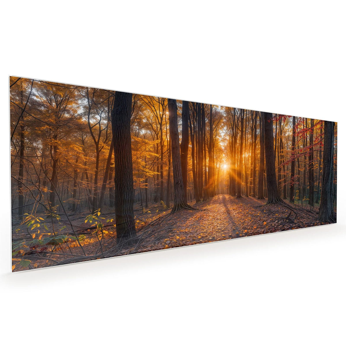#grösse_40 x 100 cm #grösse_50 x 125 cm #grösse_60 x 150 cm