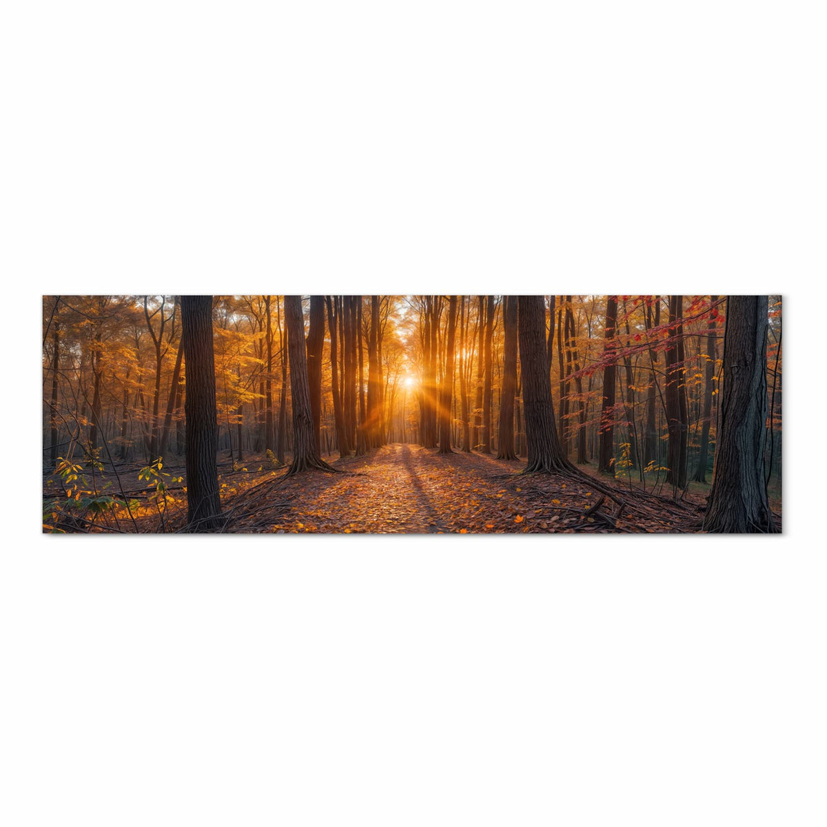 Strapazierfähiger waschbarer Küchenläufer mit Motiv Sonnenuntergang Wald in Frontansicht