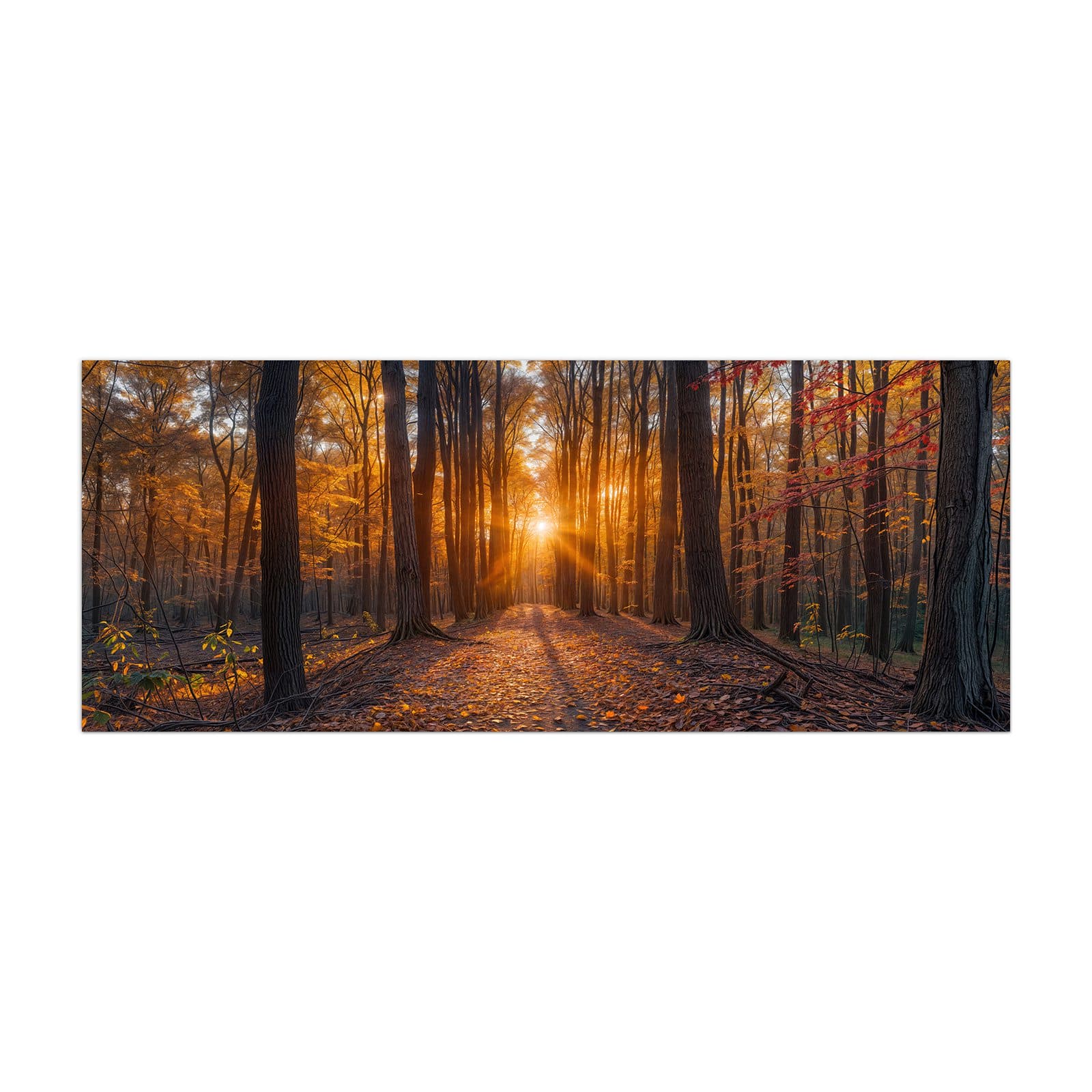 #grösse_40 x 100 cm #grösse_50 x 125 cm #grösse_60 x 150 cm