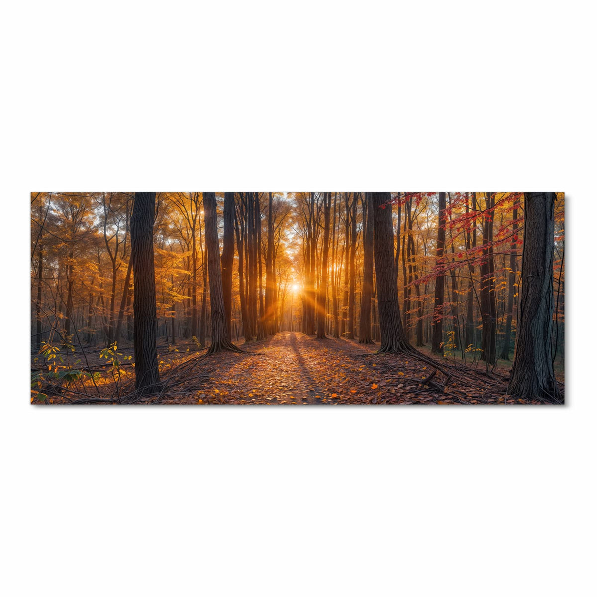 Pflegeleichter rutschfester Küchenläufer mit Motiv Sonnenuntergang Wald in Frontansicht