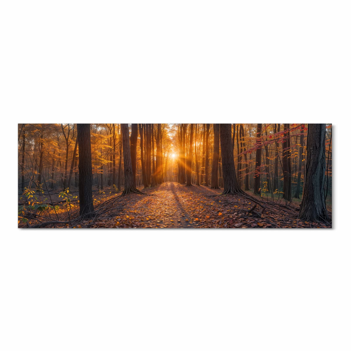 Komfortabler rutschfester Küchenläufer mit Motiv Sonnenuntergang Wald in Frontansicht