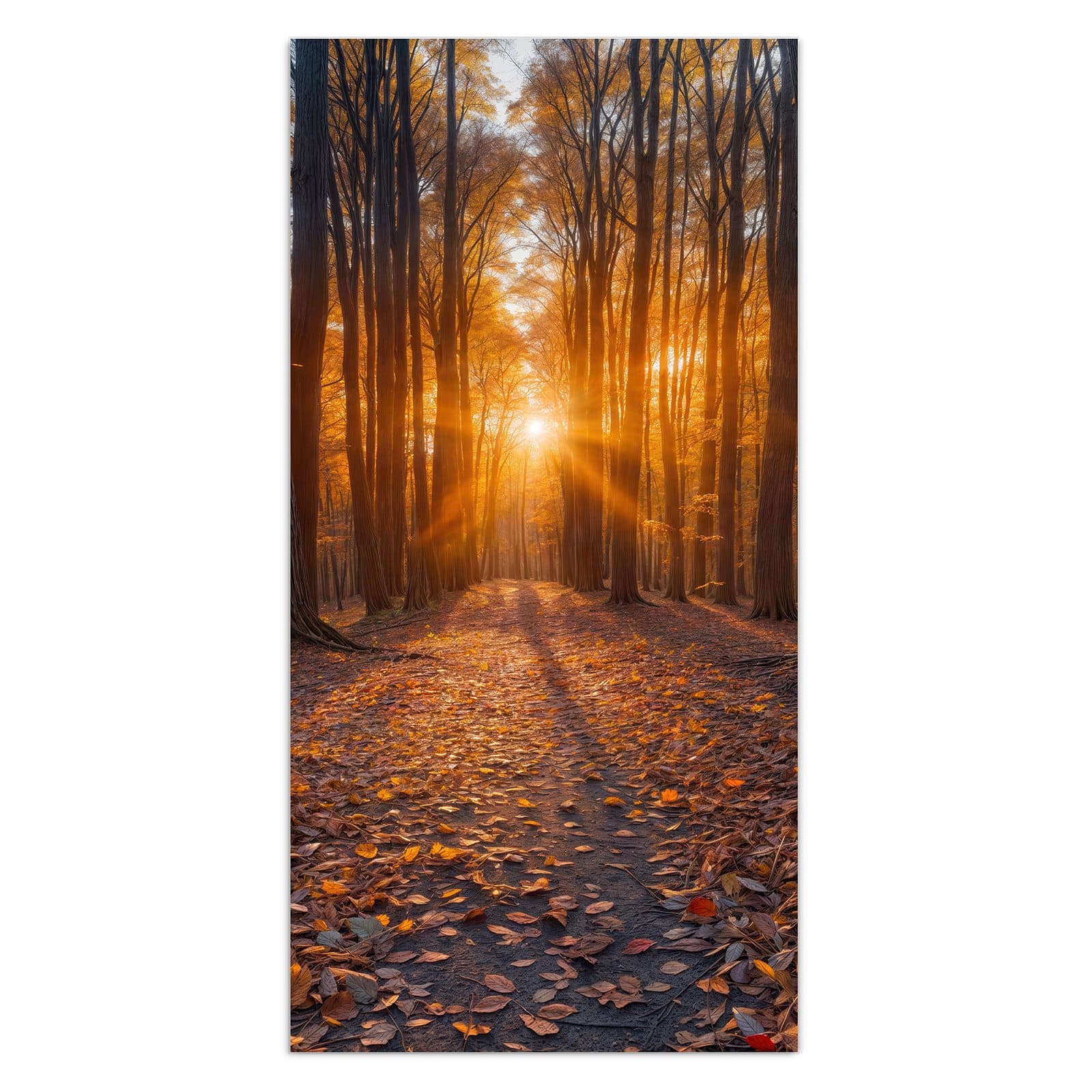 #grösse_30 x 60 cm #grösse_40 x 80 cm #grösse_50 x 100 cm #grösse_55 x 110 cm #grösse_60 x 120 cm