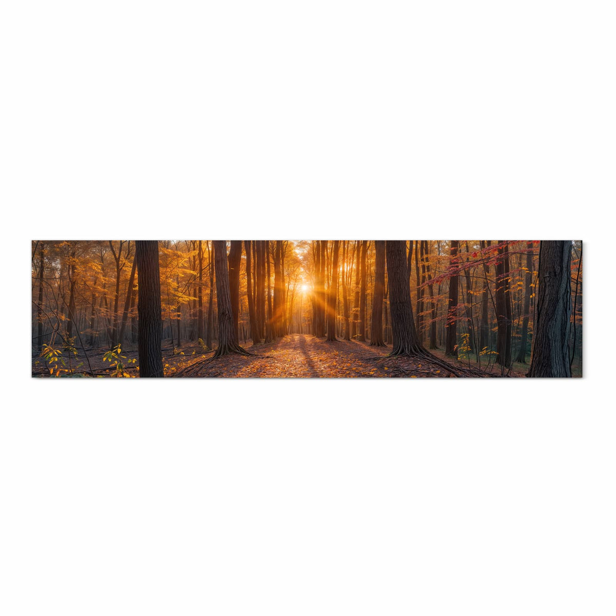 Rutschfester waschbarer Küchenläufer mit Motiv Sonnenuntergang Wald in Frontansicht