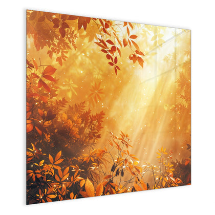 Magnettafel mit dem Motiv Herbstwald im Gegenlicht