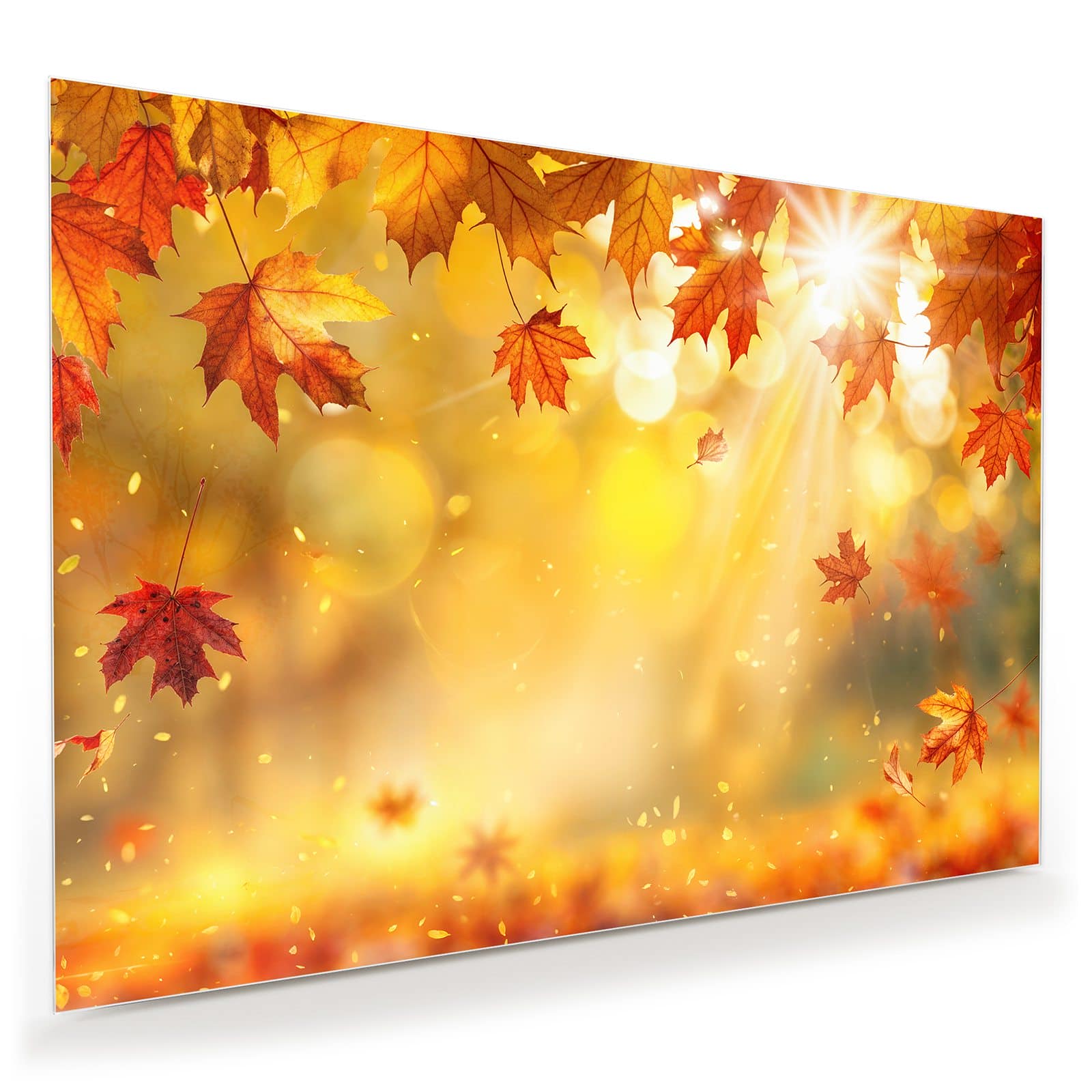 #grösse_100 x 70 cm