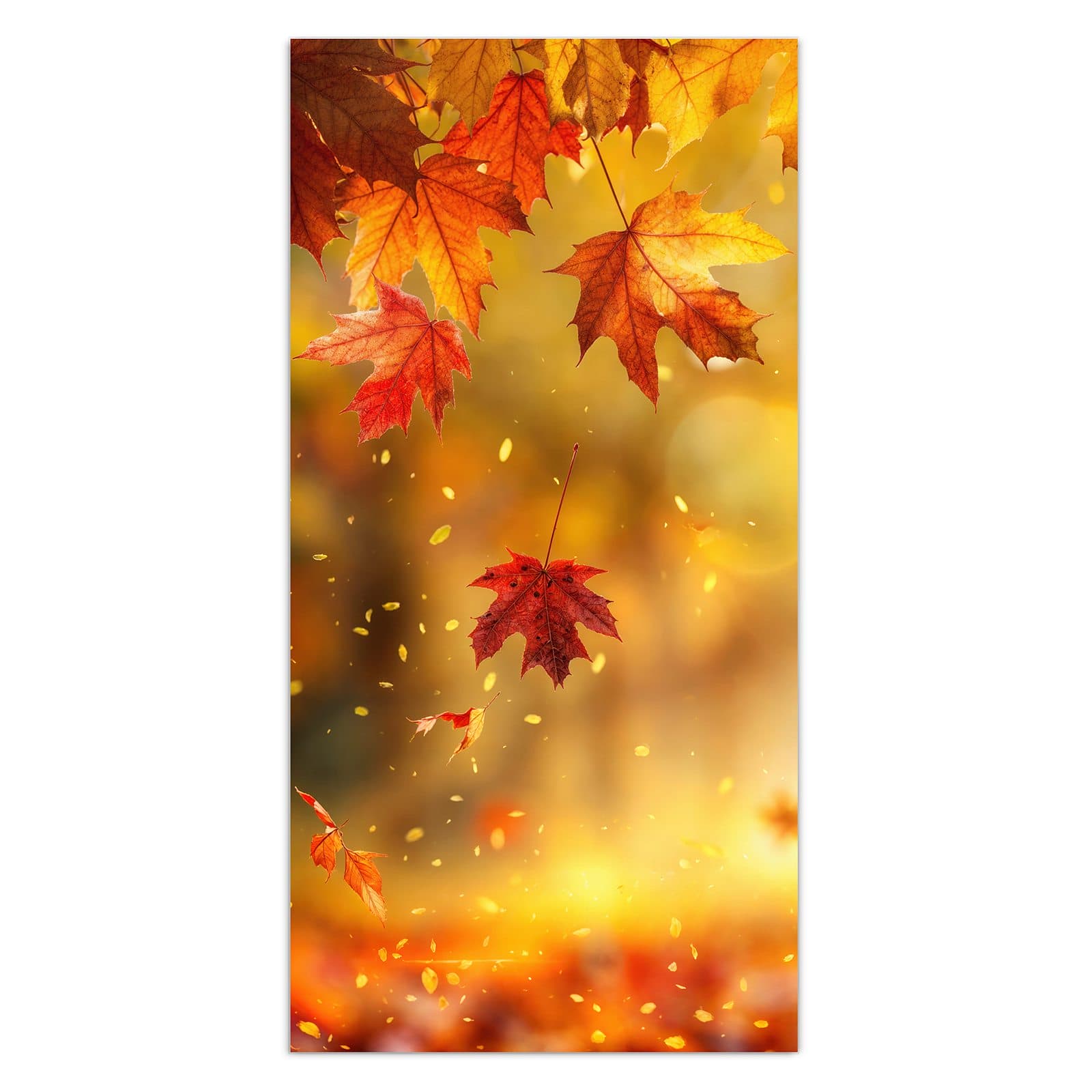 #grösse_30 x 60 cm #grösse_40 x 80 cm #grösse_50 x 100 cm #grösse_55 x 110 cm #grösse_60 x 120 cm