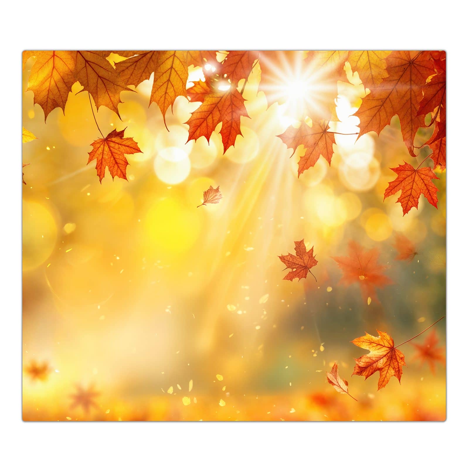 1-teilige Herdabdeckplatte mit Herbstblätter Sonne-Motiv in der Frontansicht #grösse_1-Teilig (60x52cm)