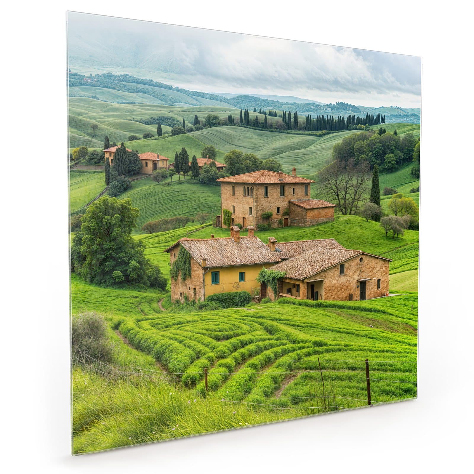 #70 x 70 cm_