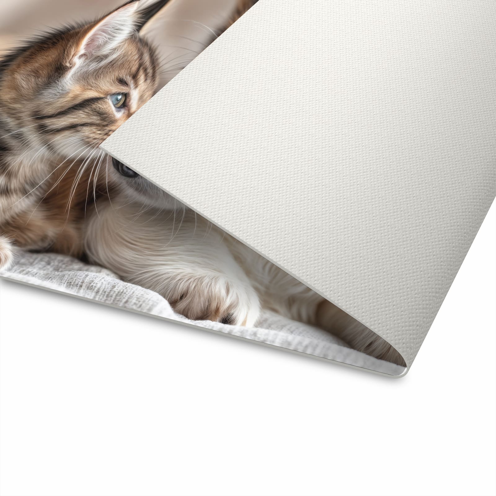 Strapazierfähiger Küchenläufer mit Motiv Welpe und Kätzchen in der Unterseite