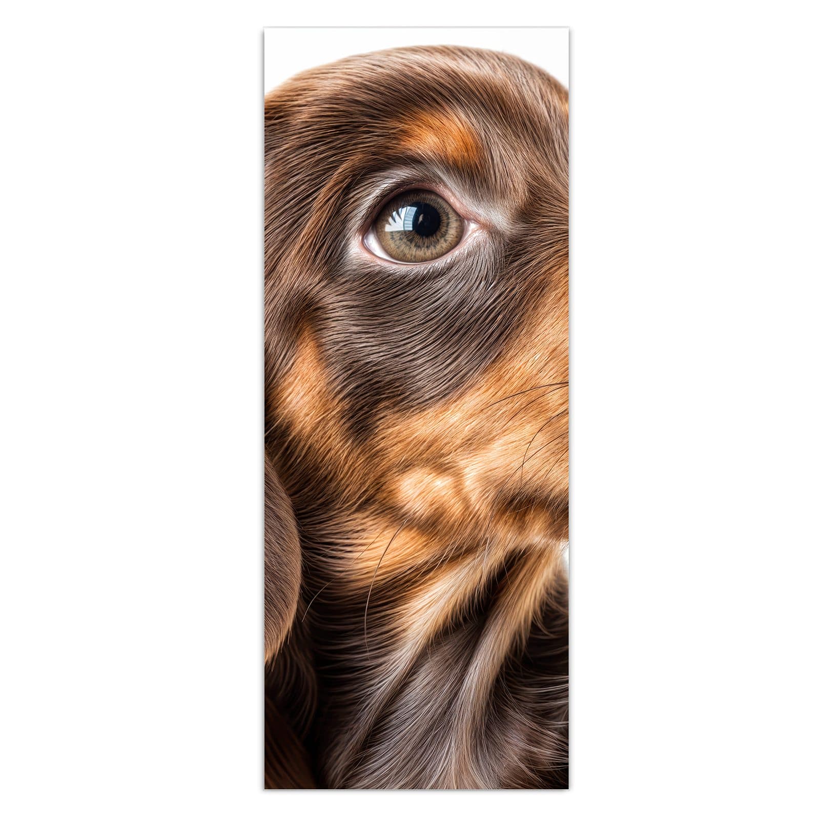 #grösse_50 x 125 cm #grösse_40 x 100 cm #grösse_60 x 150 cm