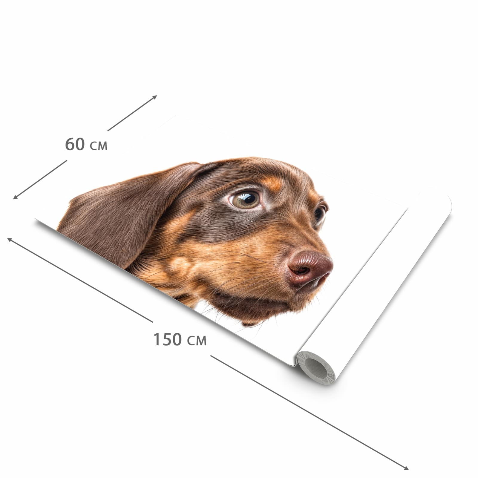 Küchenläufer mit Motiv Niedlicher Hund in der Grösse 90x180 cm für Ordnung
