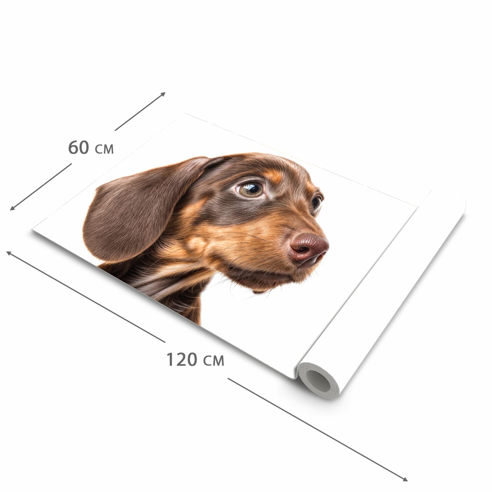 Bodenschonender Küchenteppich mit Motiv Niedlicher Hund in der Grösse 90x180 cm