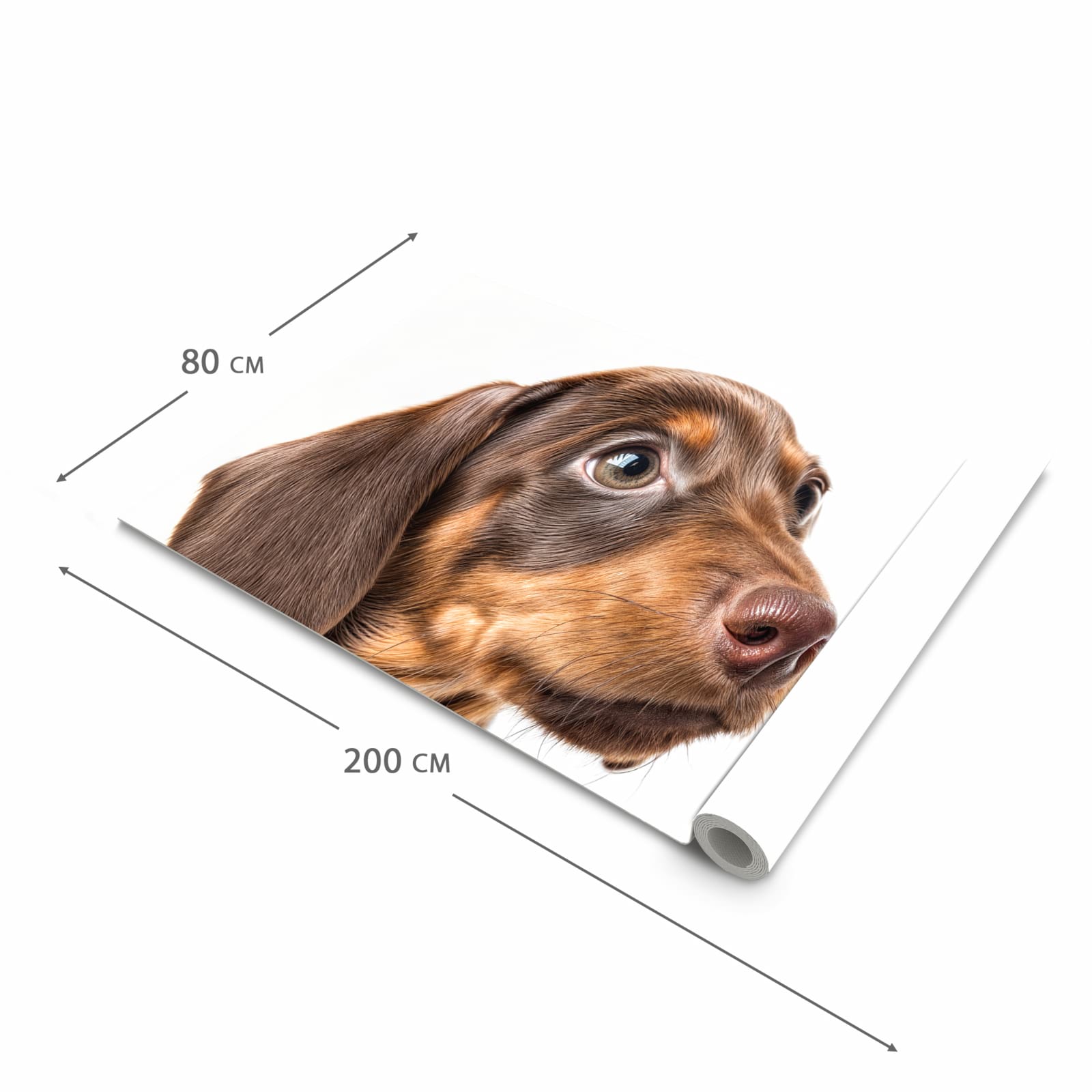 Geräuschdämpfender Küchenläufer mit Motiv Niedlicher Hund in der Grösse 90x180 cm