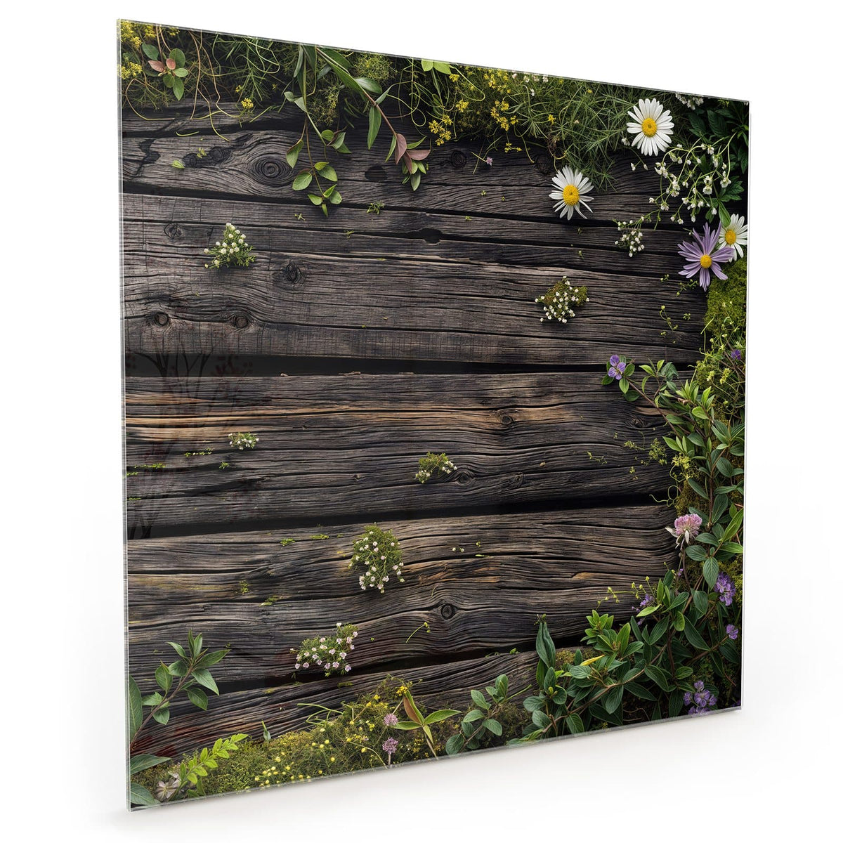#grösse_40 x 40 cm #grösse_50 x 50 cm #grösse_60 x 60 cm