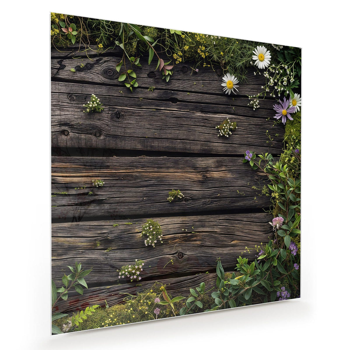 Dunkle verwitterte Bretter, oben und rechts von Wildblumen, Margeriten und Grün umrahmt