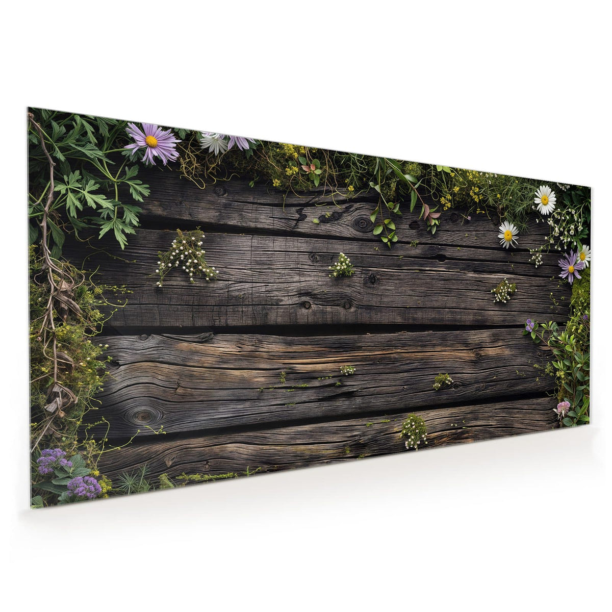 Küchenrückwand aus Glas im Hochformat mit Motiv Wildblumen auf Holz: Dunkle verwitterte Bretter, oben und rechts von Wildblumen, Margeriten und Grün umrahmt
