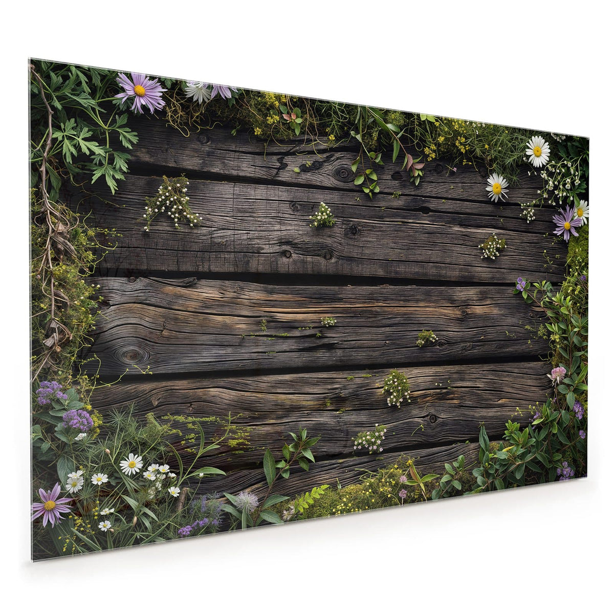 Küchenrückwand aus Glas im Hochformat mit Motiv Wildblumen auf Holz: Dunkle verwitterte Bretter, oben und rechts von Wildblumen, Margeriten und Grün umrahmt