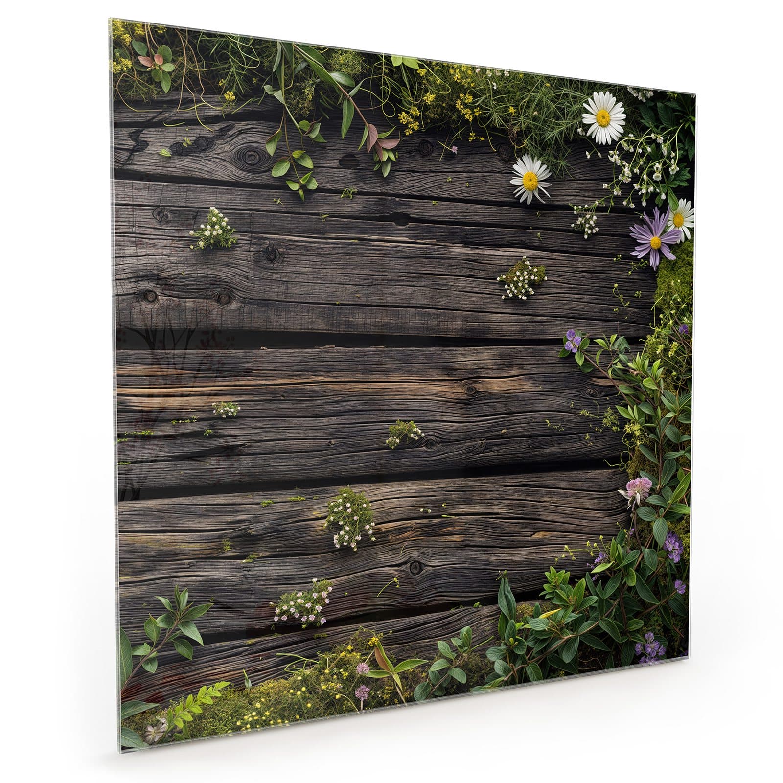 #70 x 70 cm_