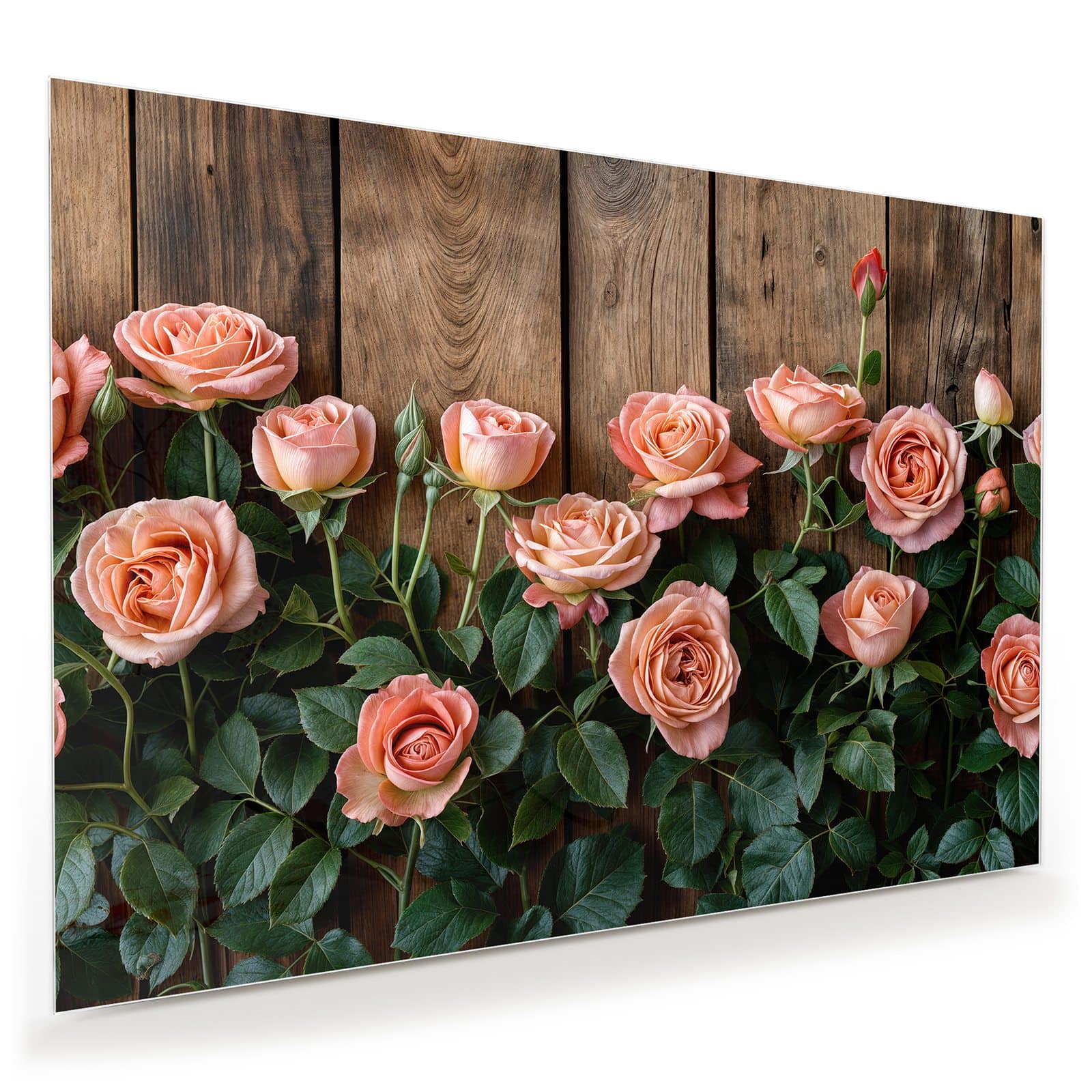 #grösse_100 x 70 cm