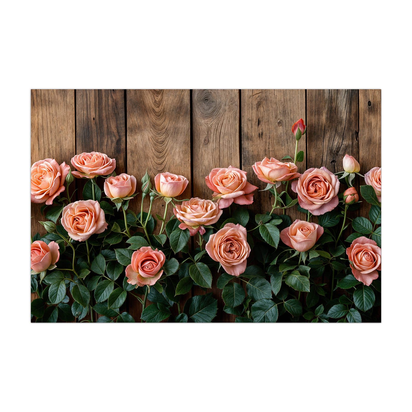 #grösse_40 x 60 cm #grösse_50 x 75 cm #grösse_60 x 90 cm #grösse_80 x 120 cm