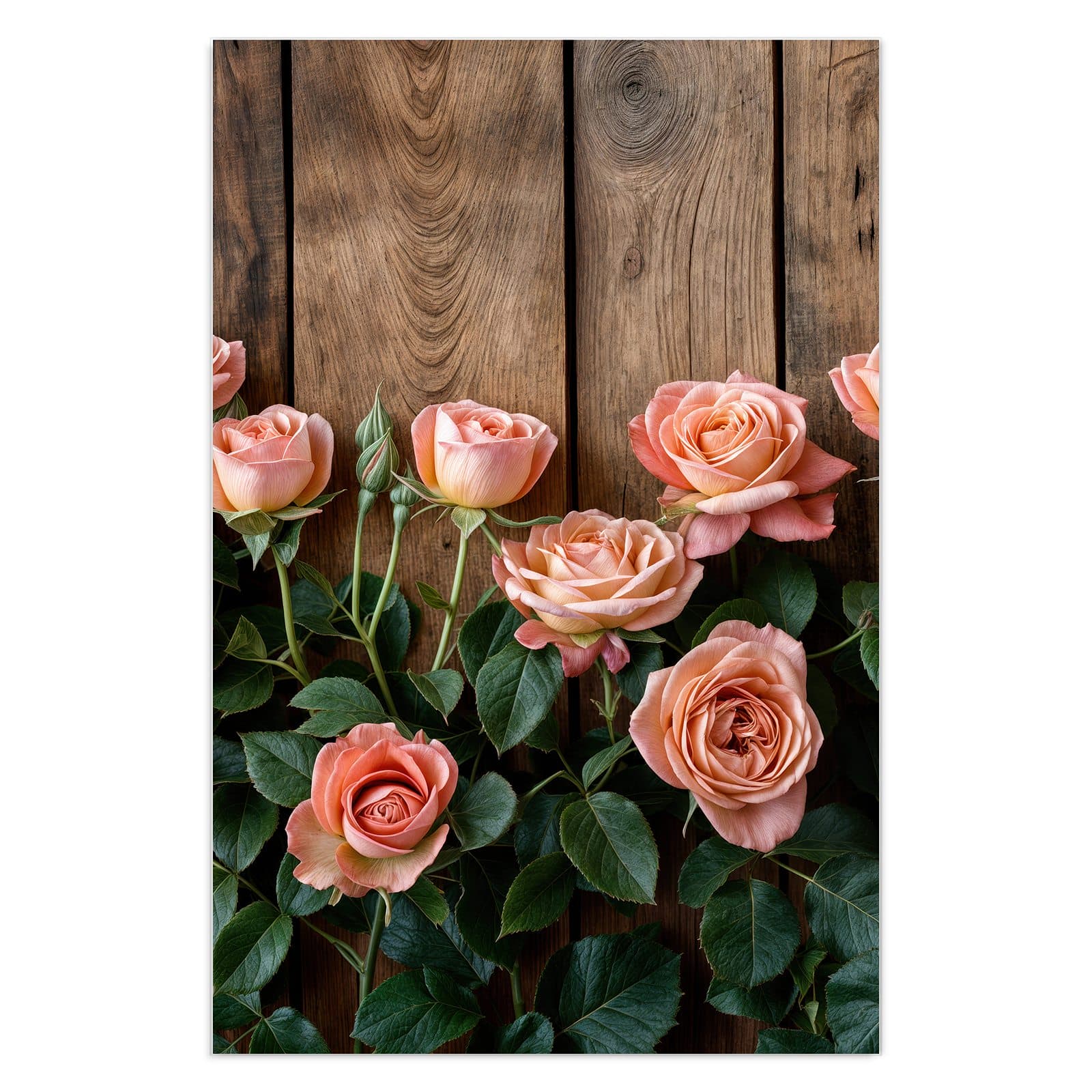 #grösse_40 x 60 cm #grösse_50 x 75 cm #grösse_60 x 90 cm