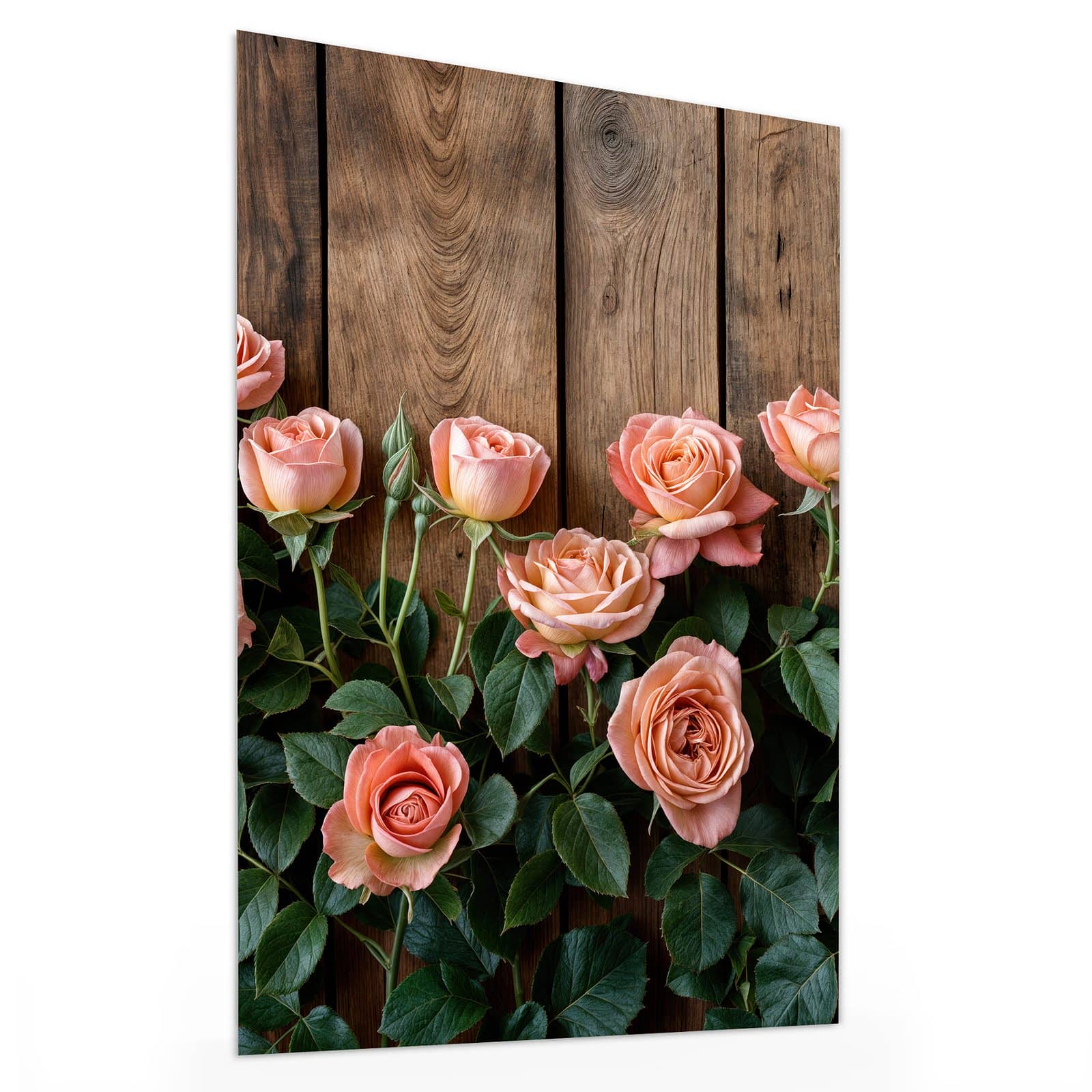 #grösse_30 x 40 cm #grösse_60 x 80 cm #grösse_75 x 100 cm