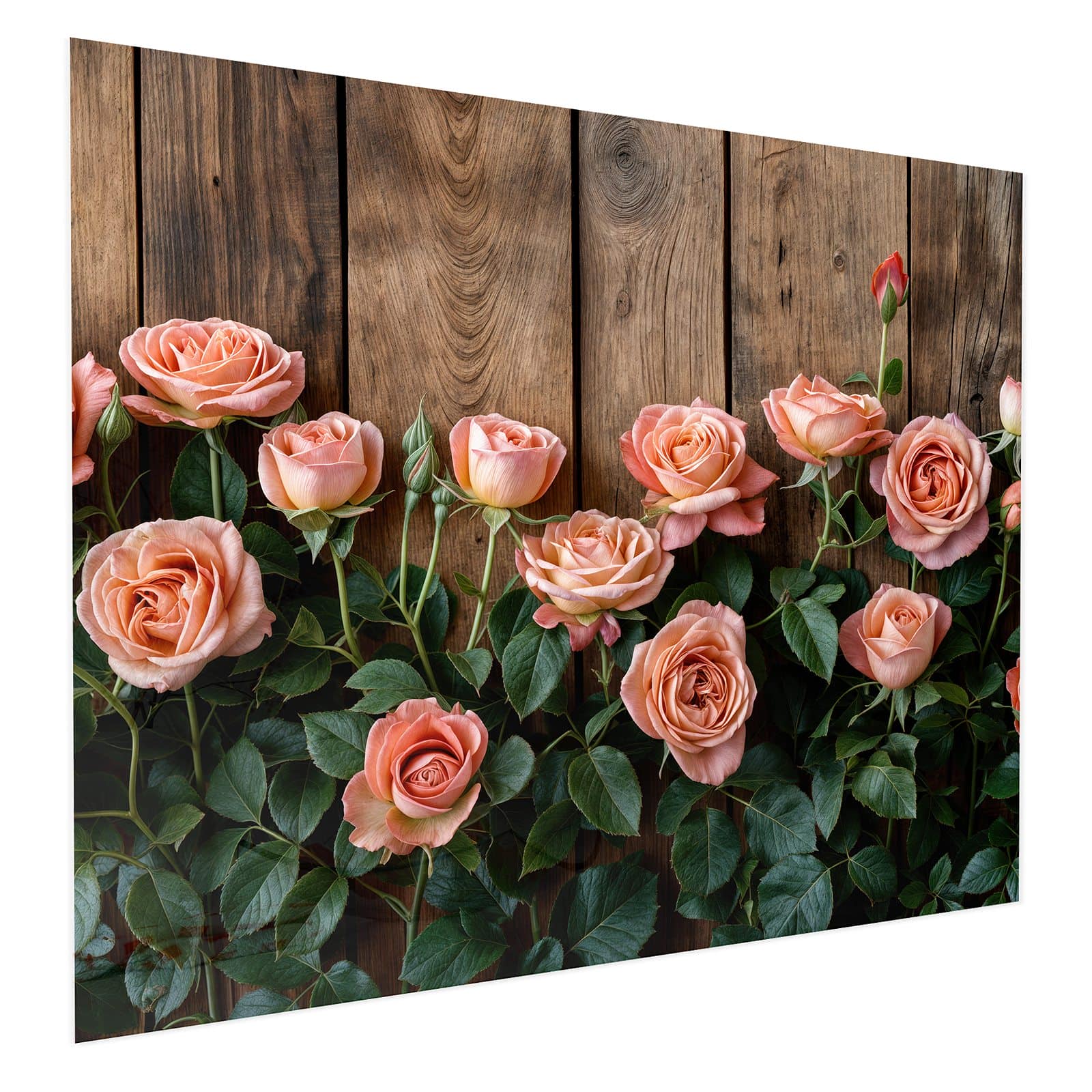 #grösse_75 x 60 cm #grösse_100 x 80 cm