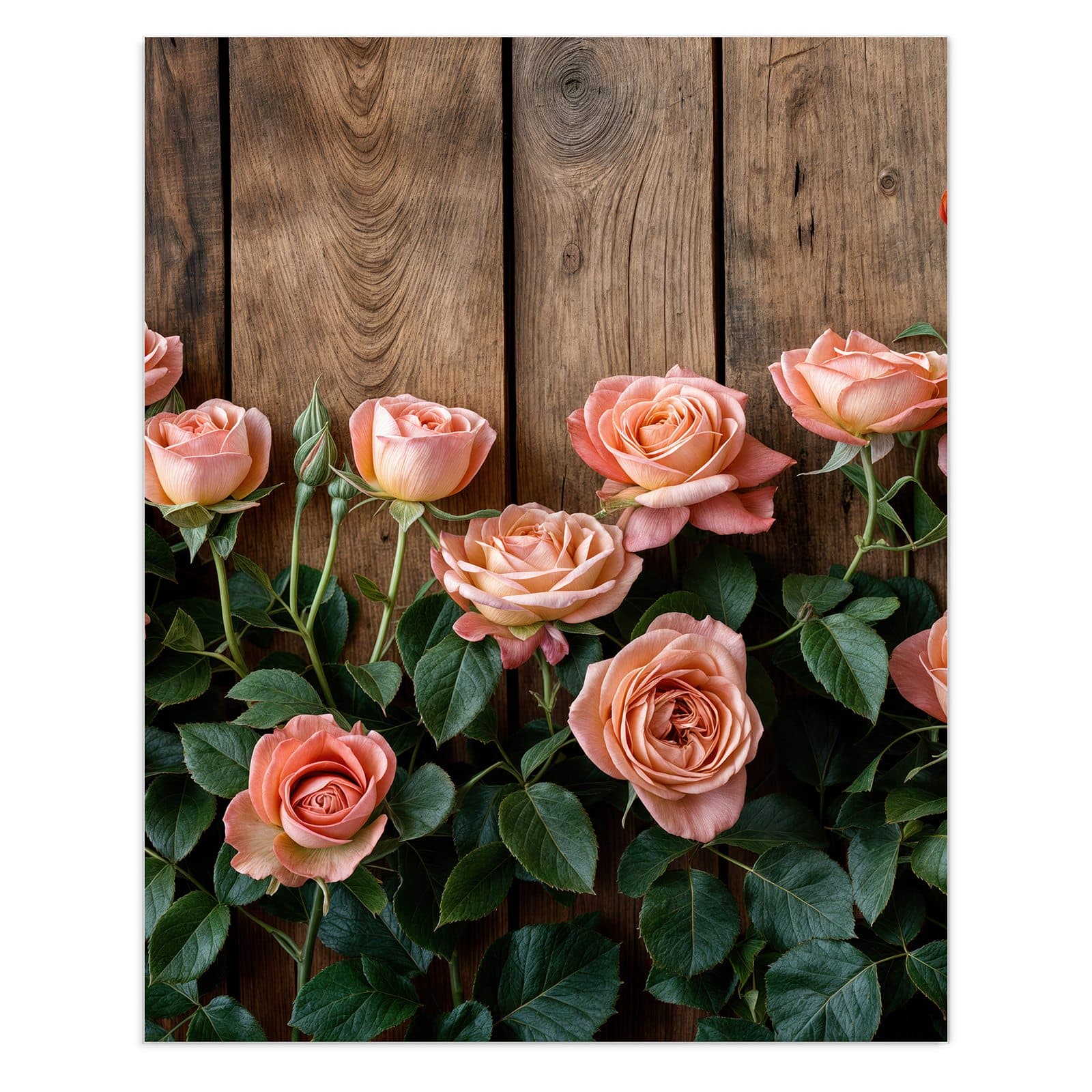 #grösse_60 x 75 cm #grösse_80 x 100 cm