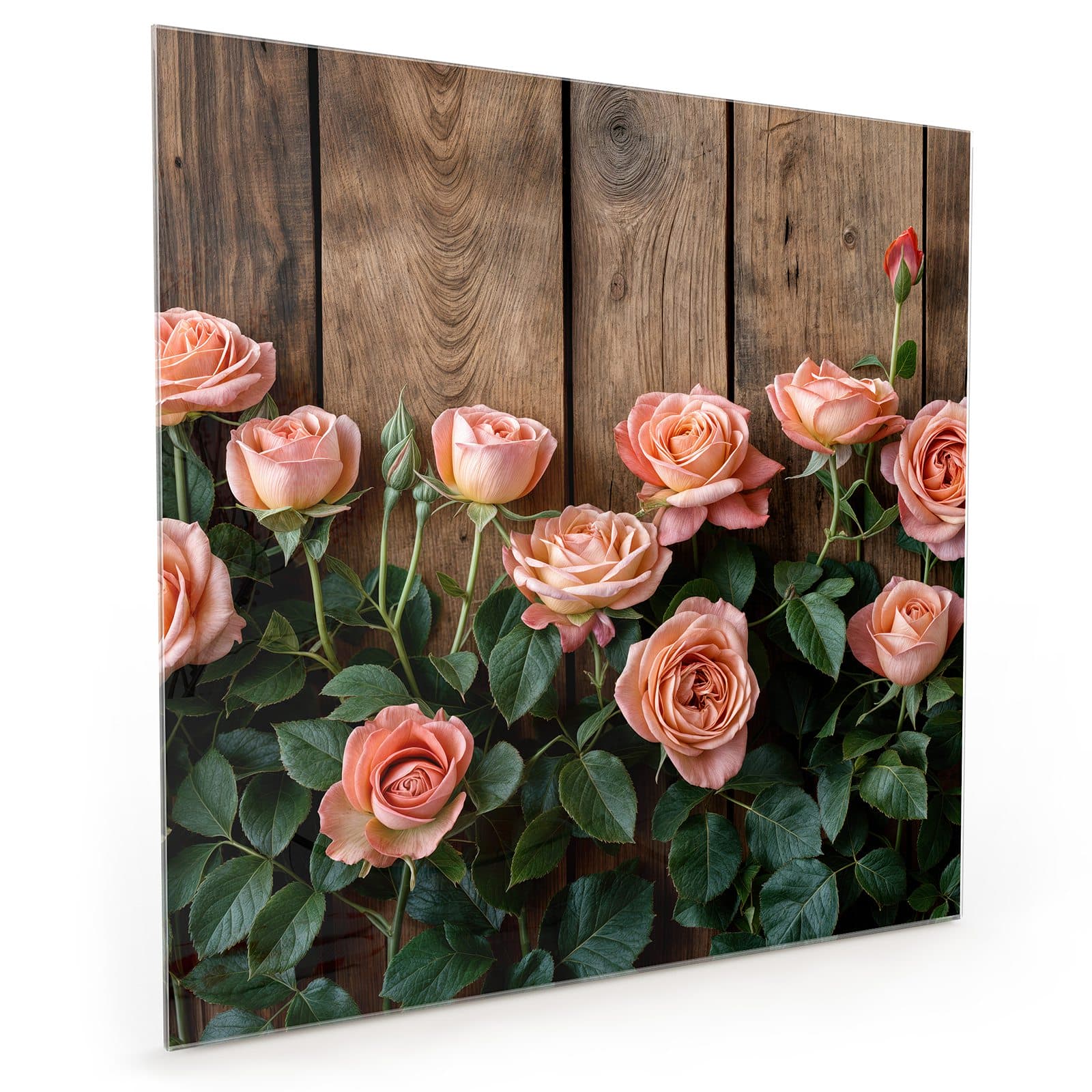 #70 x 70 cm_