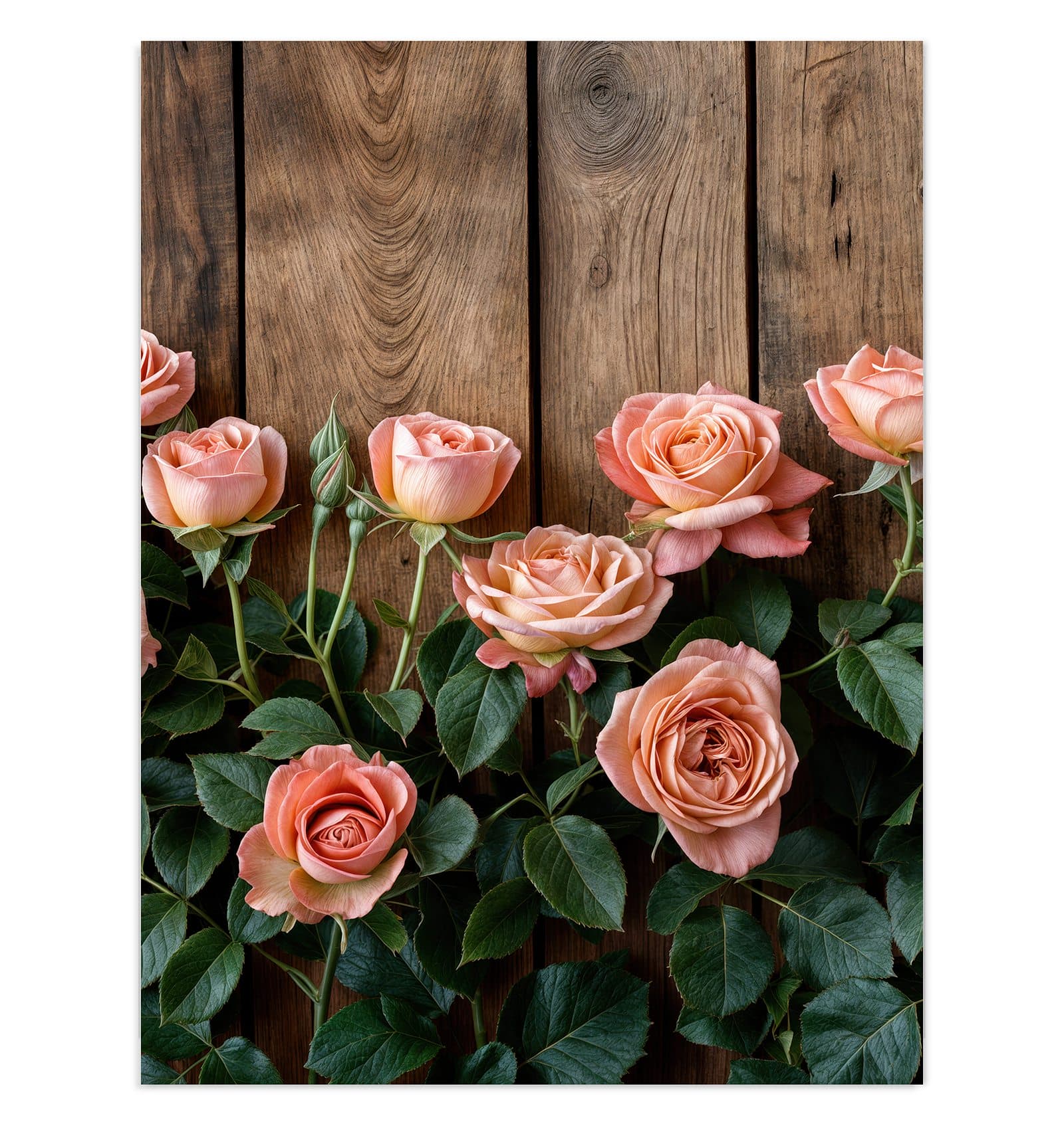 #grösse_30 x 40 cm #grösse_60 x 80 cm #grösse_75 x 100 cm