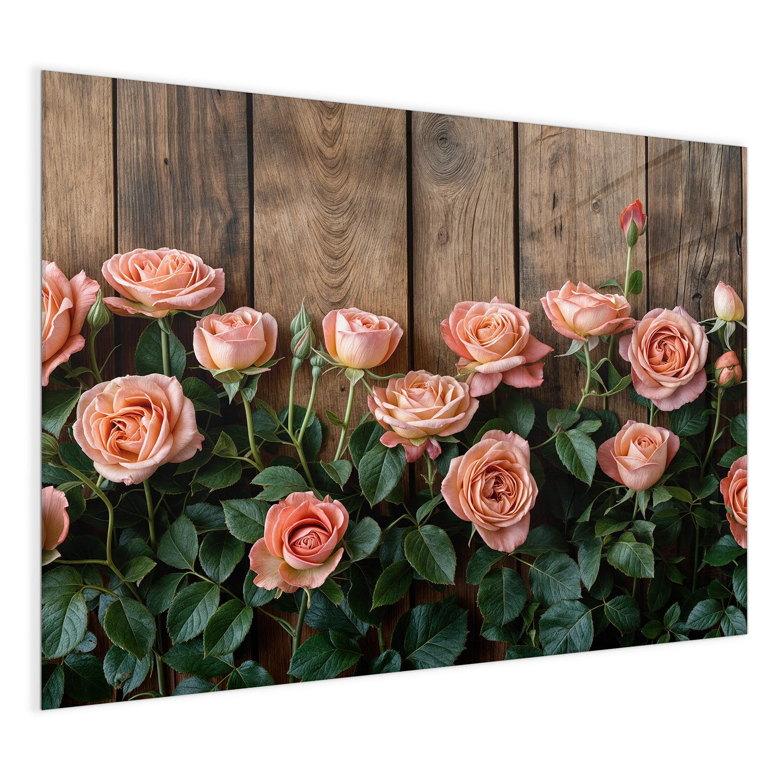 #grösse_120 x 90 cm