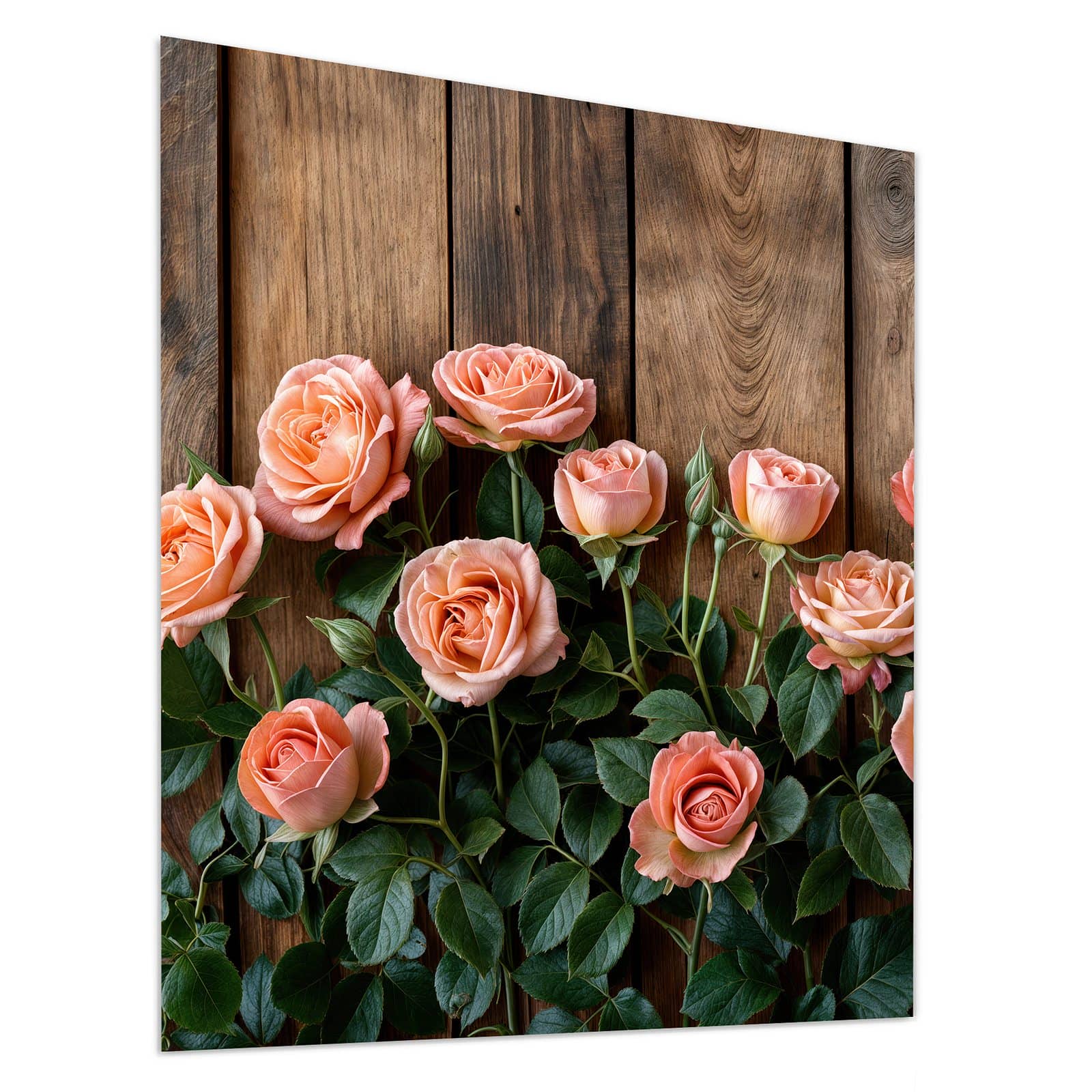 #grösse_90 x 100 cm