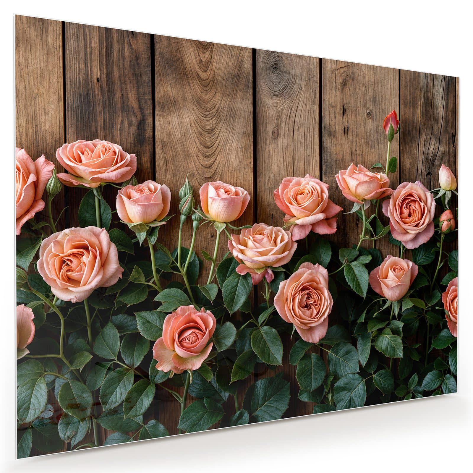 #grösse_80 x 60 cm #grösse_100 x 75 cm #grösse_120 x 90 cm