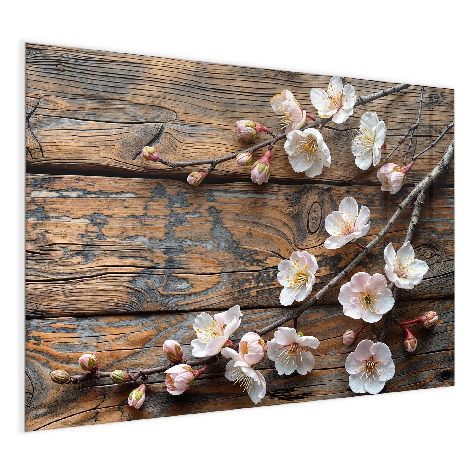 #grösse_120 x 90 cm