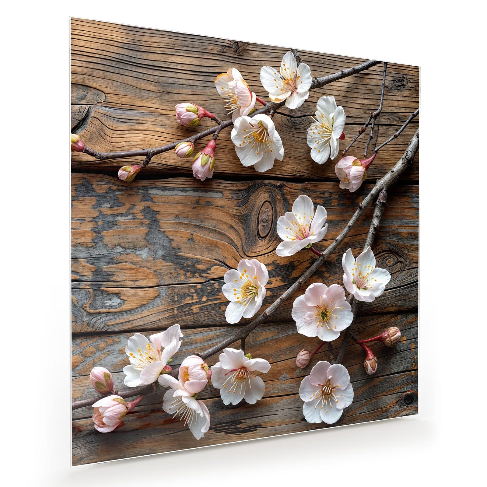 #grösse_30 x 30 cm #grösse_40 x 40 cm #grösse_50 x 50 cm #grösse_60 x 60 cm #grösse_70 x 70 cm #grösse_80 x 80 cm #grösse_90 x 90 cm #grösse_100 x 100 cm