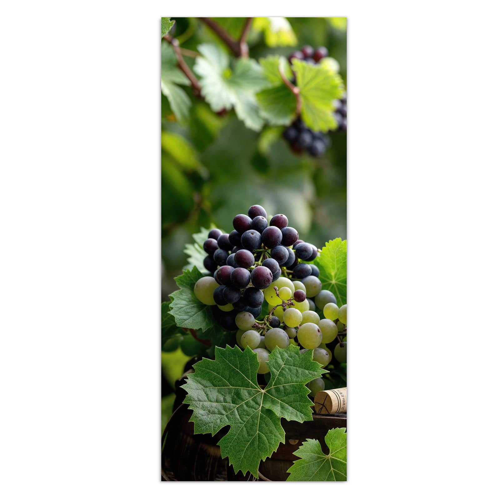 #grösse_50 x 125 cm #grösse_40 x 100 cm #grösse_60 x 150 cm