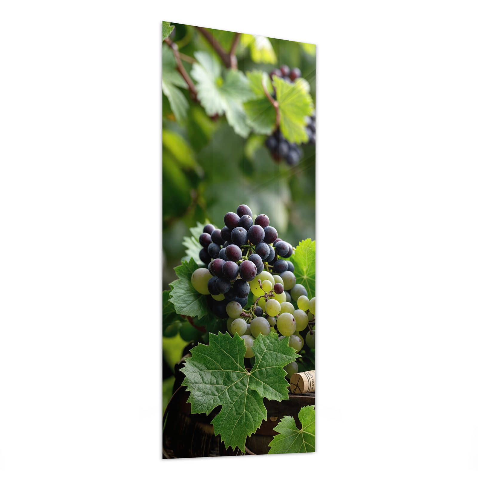 #grösse_50 x 125 cm #grösse_40 x 100 cm #grösse_60 x 150 cm