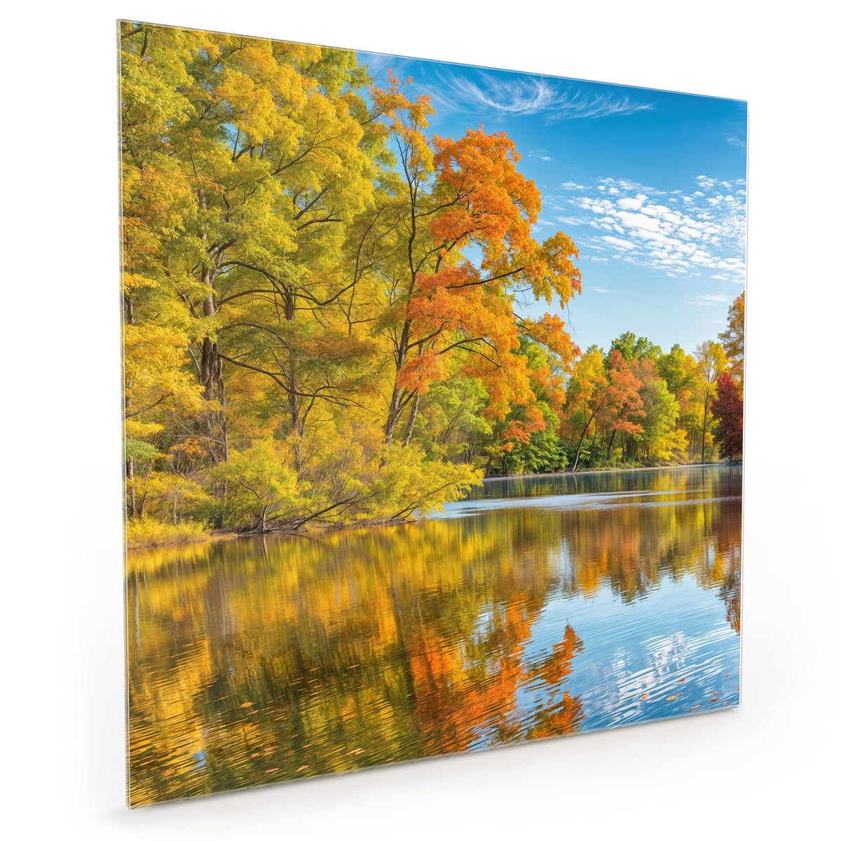 #grösse_40 x 40 cm #grösse_50 x 50 cm #grösse_60 x 60 cm
