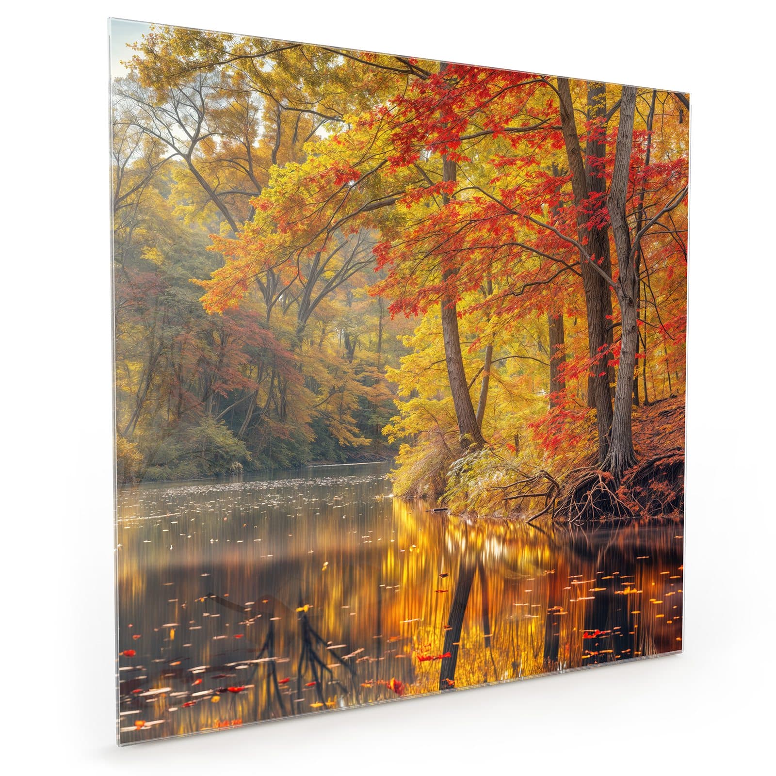 #70 x 70 cm_