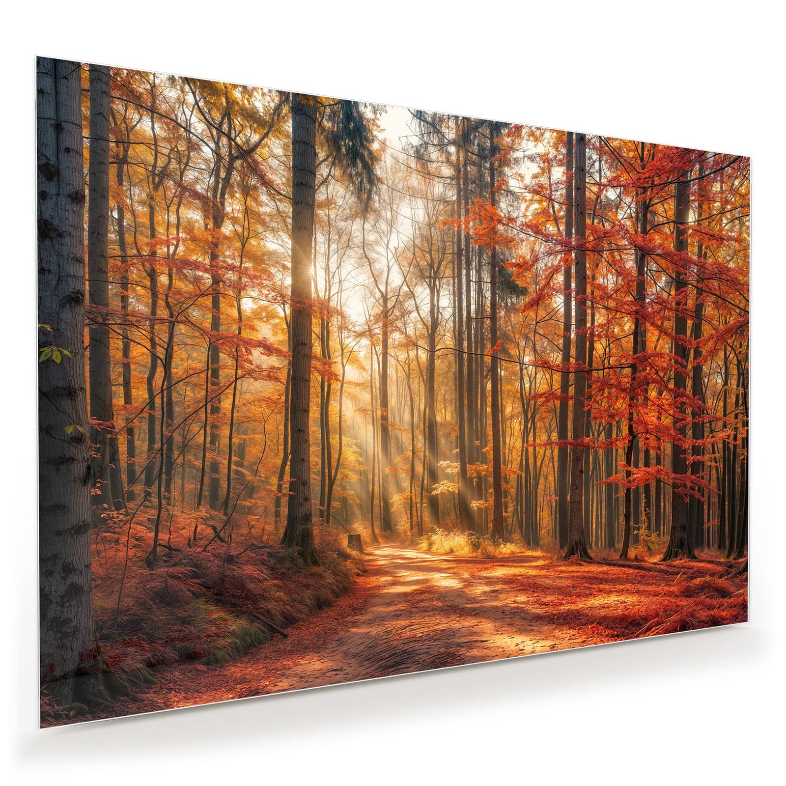 #grösse_100 x 70 cm