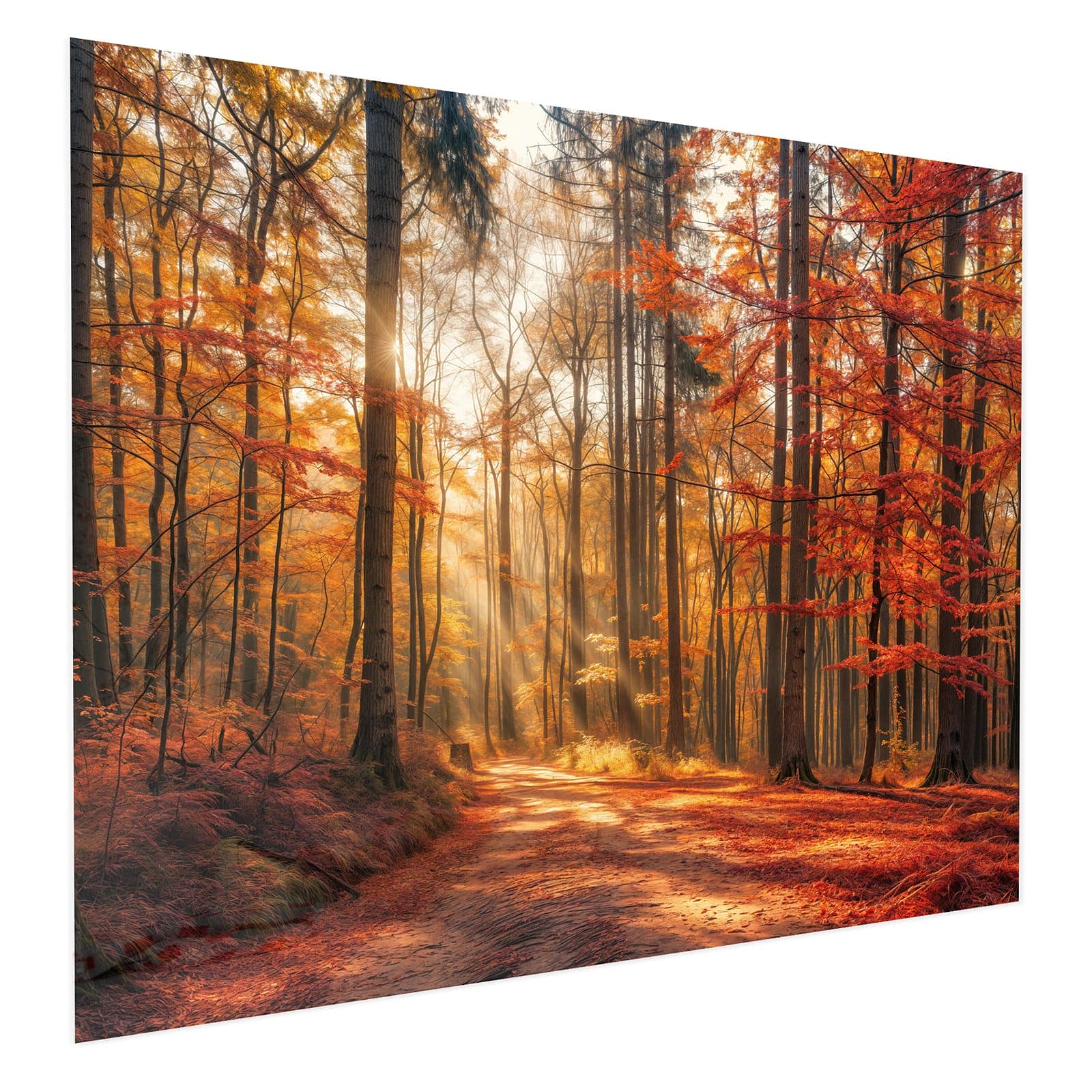 #grösse_75 x 60 cm #grösse_100 x 80 cm