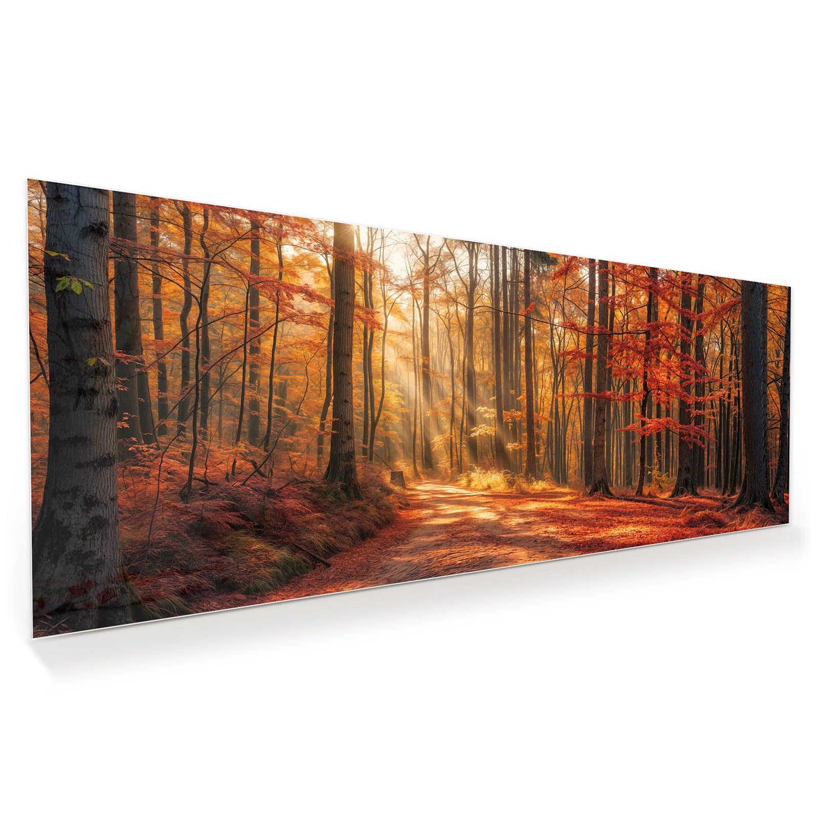 #grösse_100 x 40 cm #grösse_125 x 50 cm #grösse_150 x 60 cm