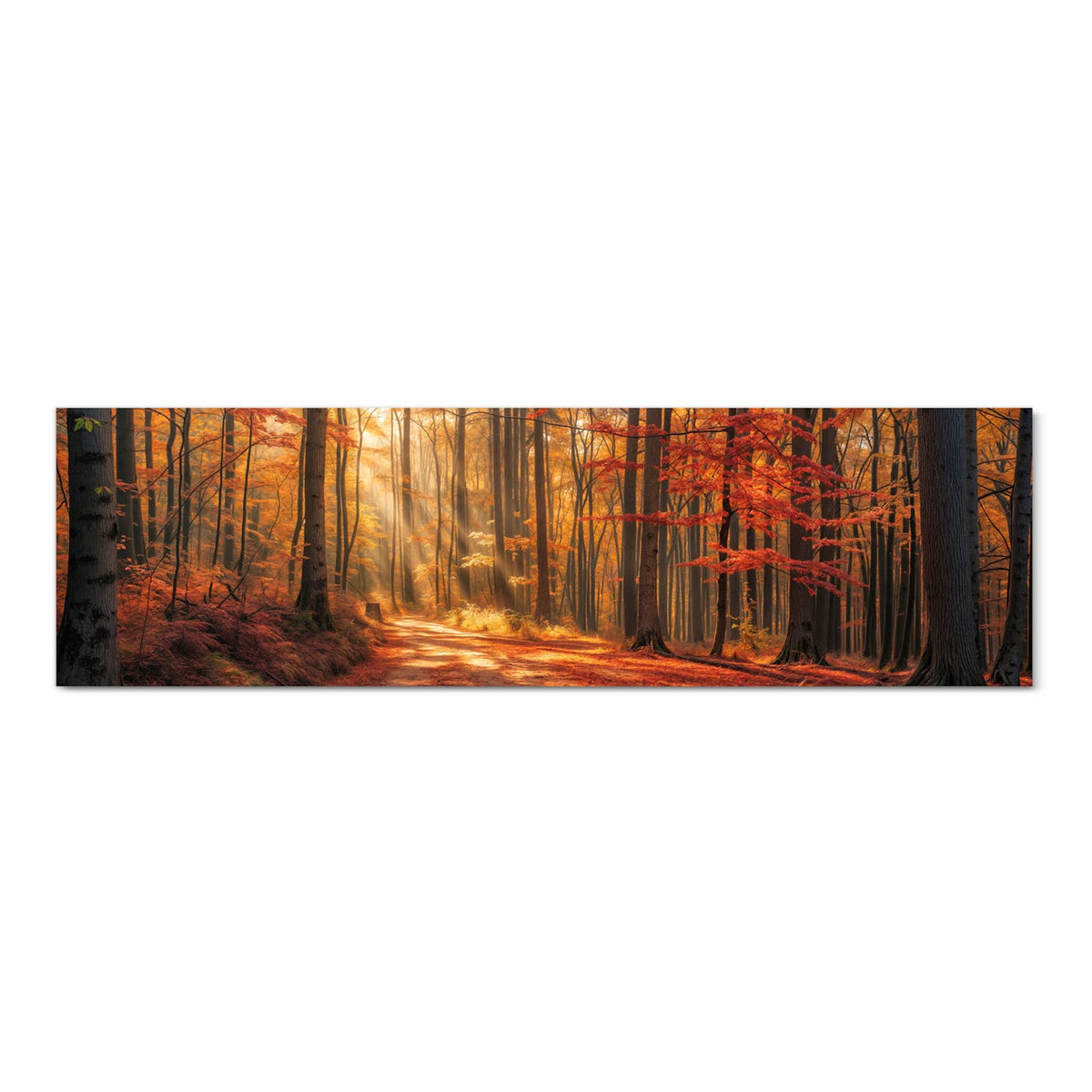 Formstabiler Bodenläufer Teppich mit Motiv Herbstlicher Waldweg in Frontansicht