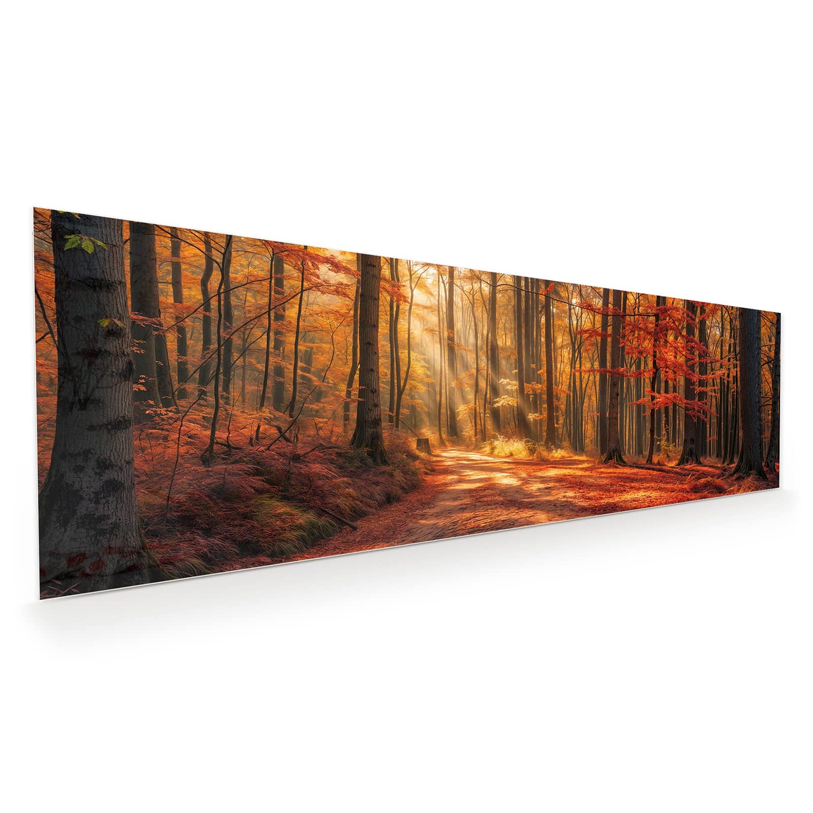 #grösse_120 x 40 cm