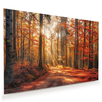 Wandbild mit dem Motiv Waldweg im Herbstlicht