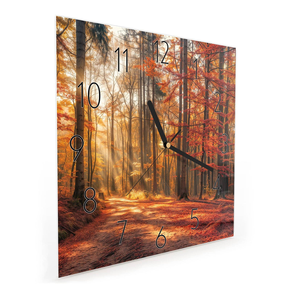 Quadratische Wanduhr aus Glas Waldweg im Herbstlicht schräg von der Seite, 4 mm starkes Glas