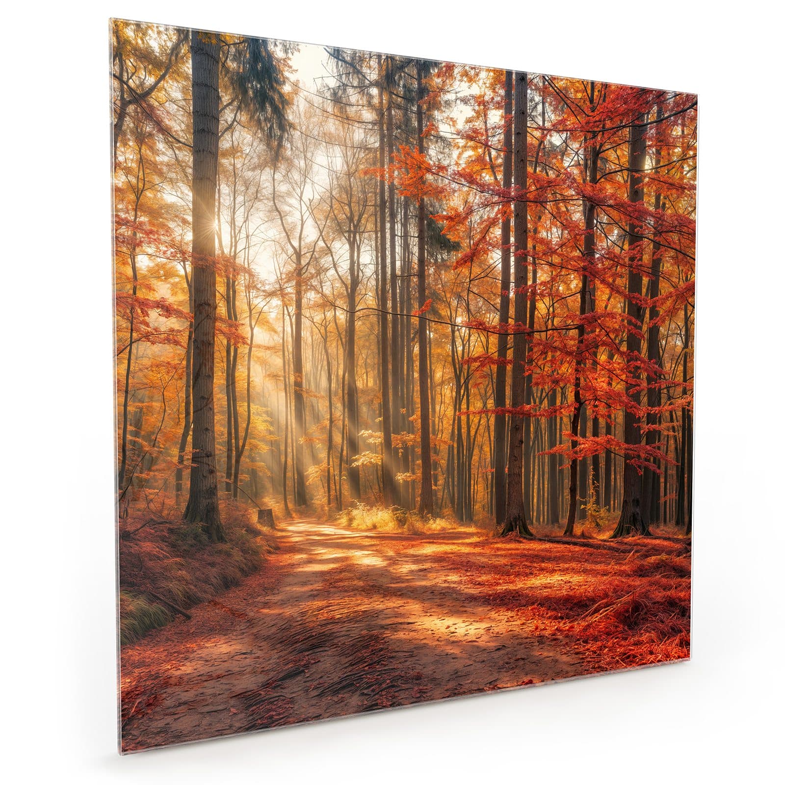 #70 x 70 cm_