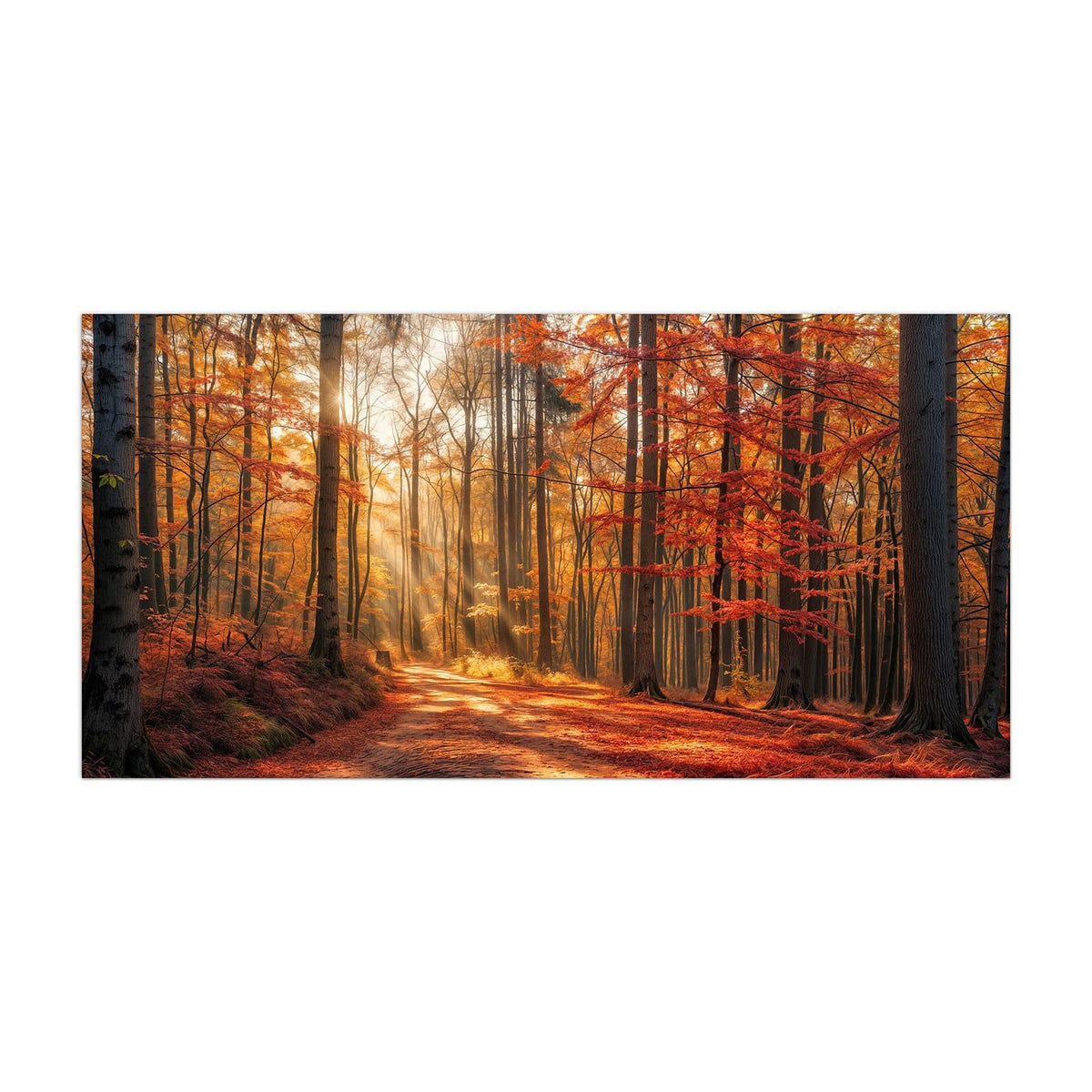 Küchenrückwand aus Glas Waldweg im Herbstlicht im Hochformat, Motiv bildfüllend von vorn