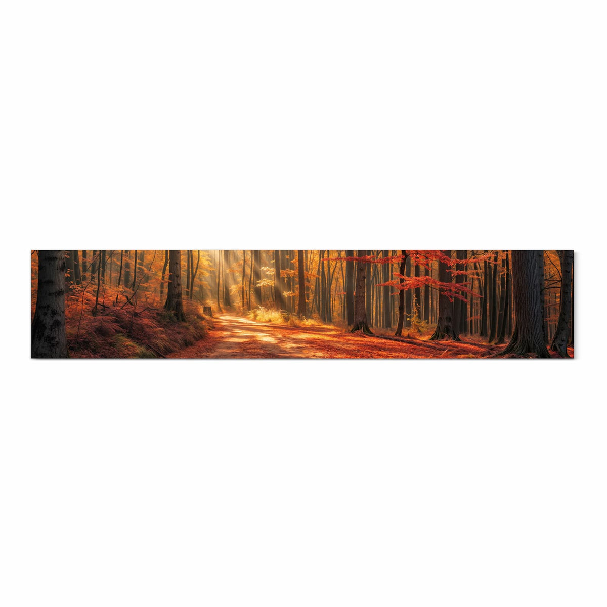 Waschbarer Teppich für Esstisch mit Motiv Herbstlicher Waldweg in Frontansicht für Ordnung